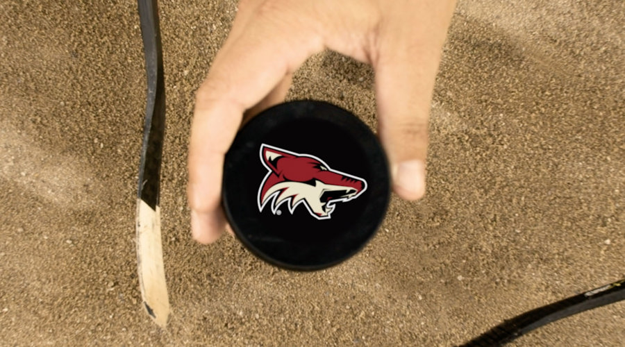Arizona Coyotes 2019-20 Intro Video Thumbnail